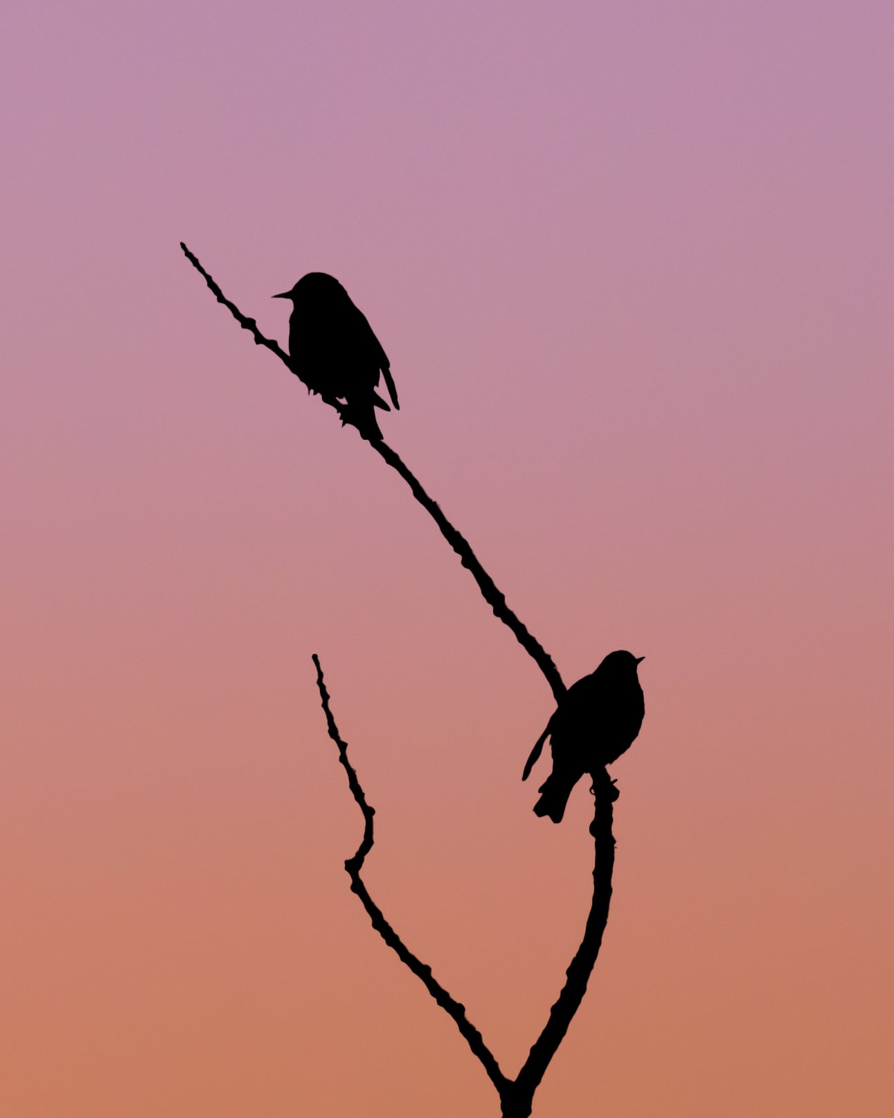 Between Us