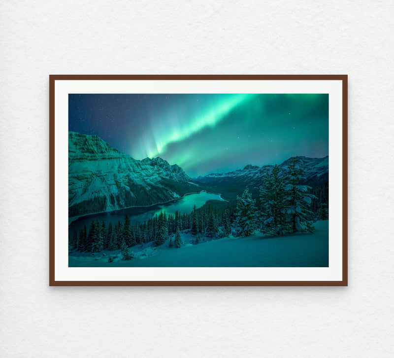 Aurora Over Peyto Lake