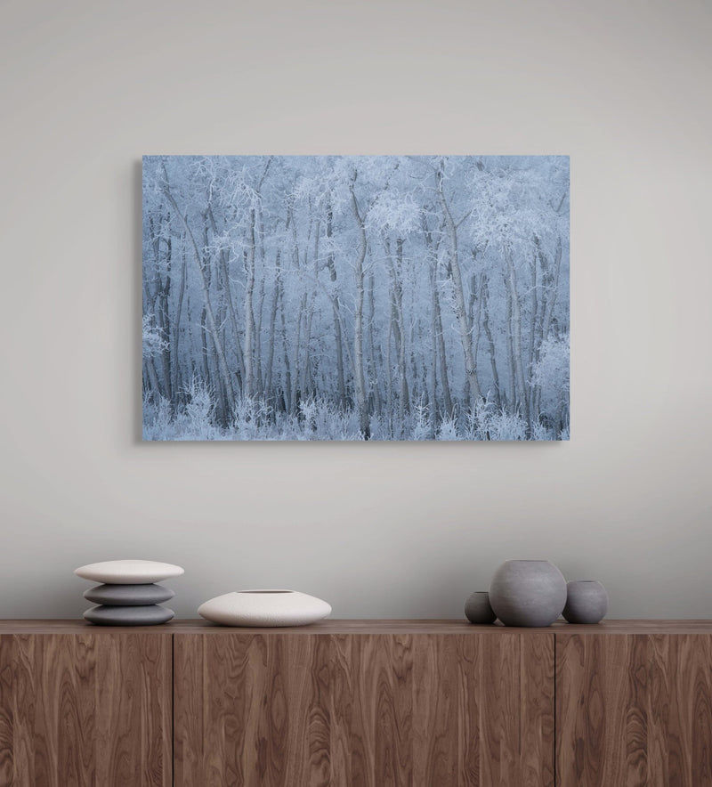Deep Winter - James Andrew Fine Art Landscapes