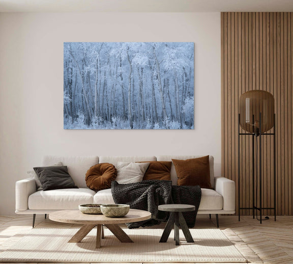 Deep Winter - James Andrew Fine Art Landscapes