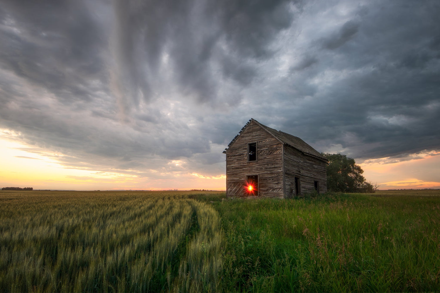 Endure - James Andrew Fine Art Landscapes