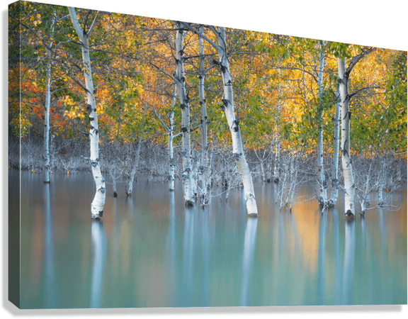 Fine Art Gift Card - James Andrew Fine Art Landscapes