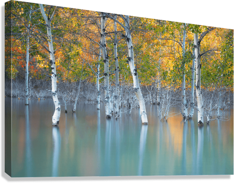 Fine Art Gift Card - James Andrew Fine Art Landscapes