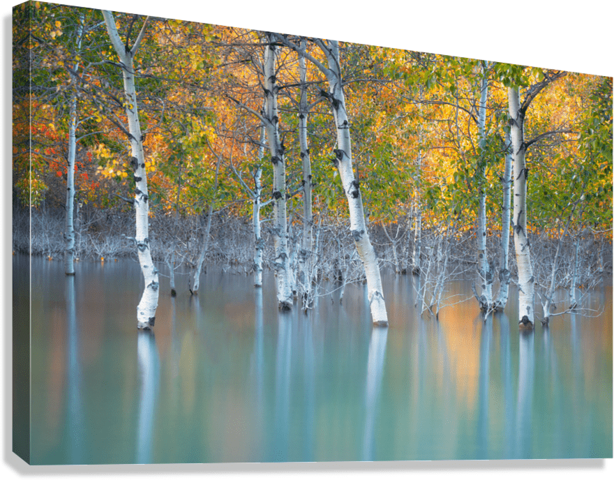 Sunken Color - James Andrew Fine Art Landscapes