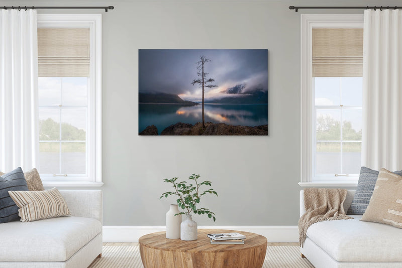 The Lone Tree - James Andrew Fine Art Landscapes