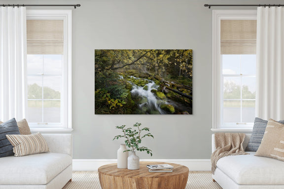 The Secret Stream - James Andrew Fine Art Landscapes