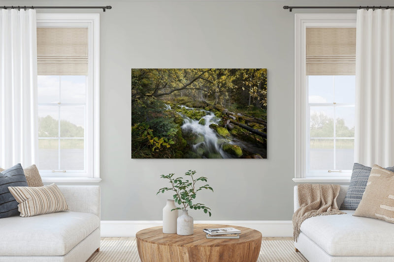 The Secret Stream - James Andrew Fine Art Landscapes