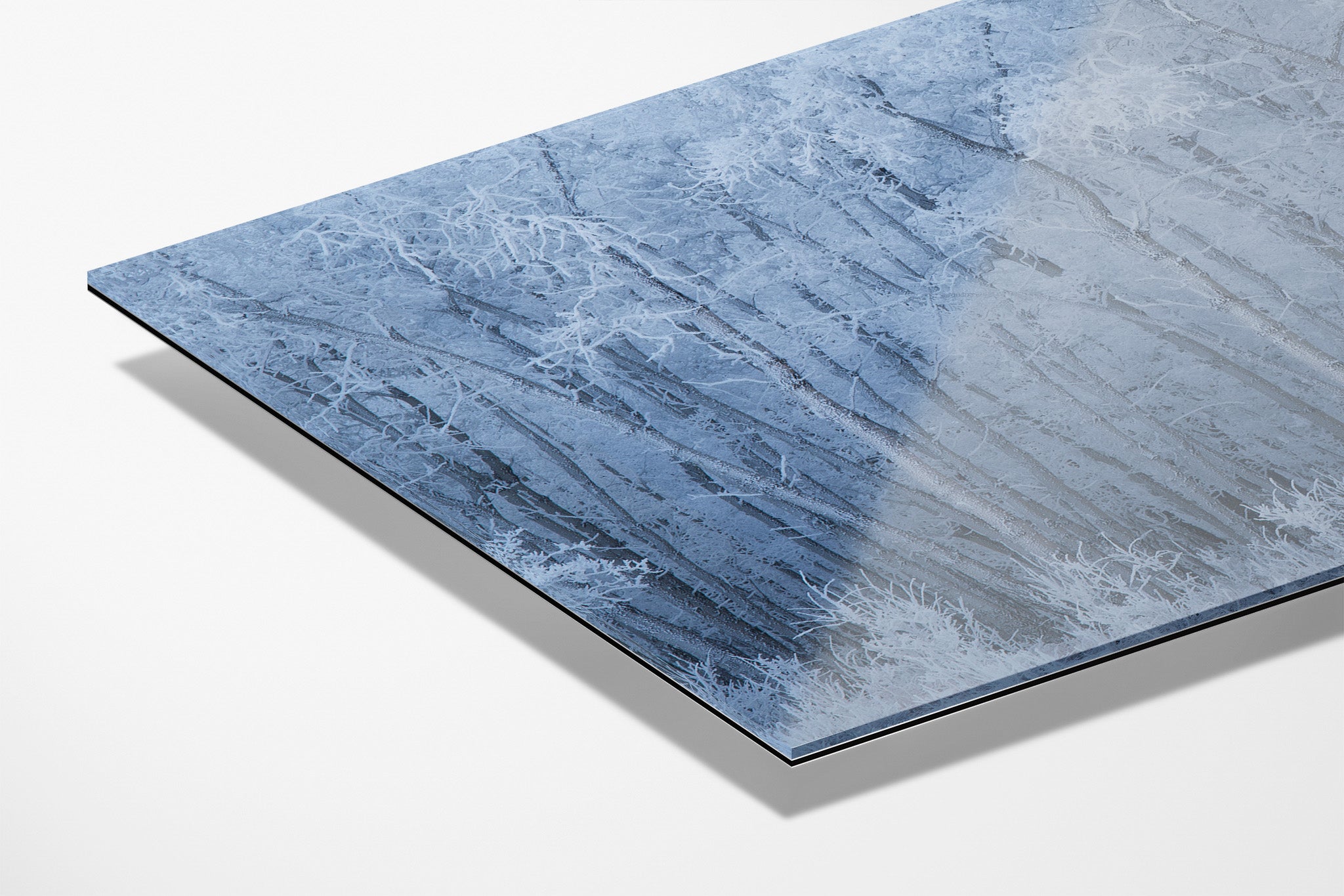 Veil of Frost acrylic face mount fine art print — limited edition Banff hoarfrost landscape wall art by James Andrew