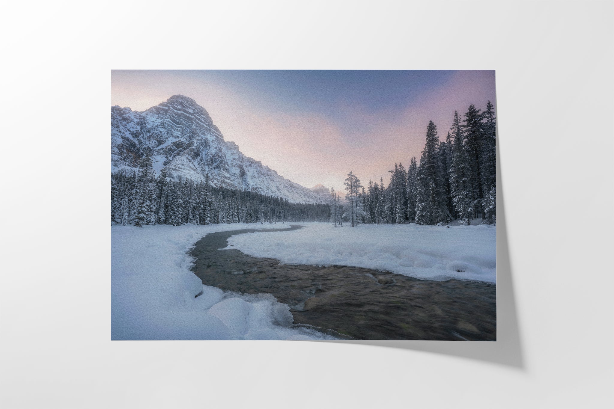 Winter's Path Hahnemühle fine art paper detail — archival cotton rag print by James Andrew Fine Art