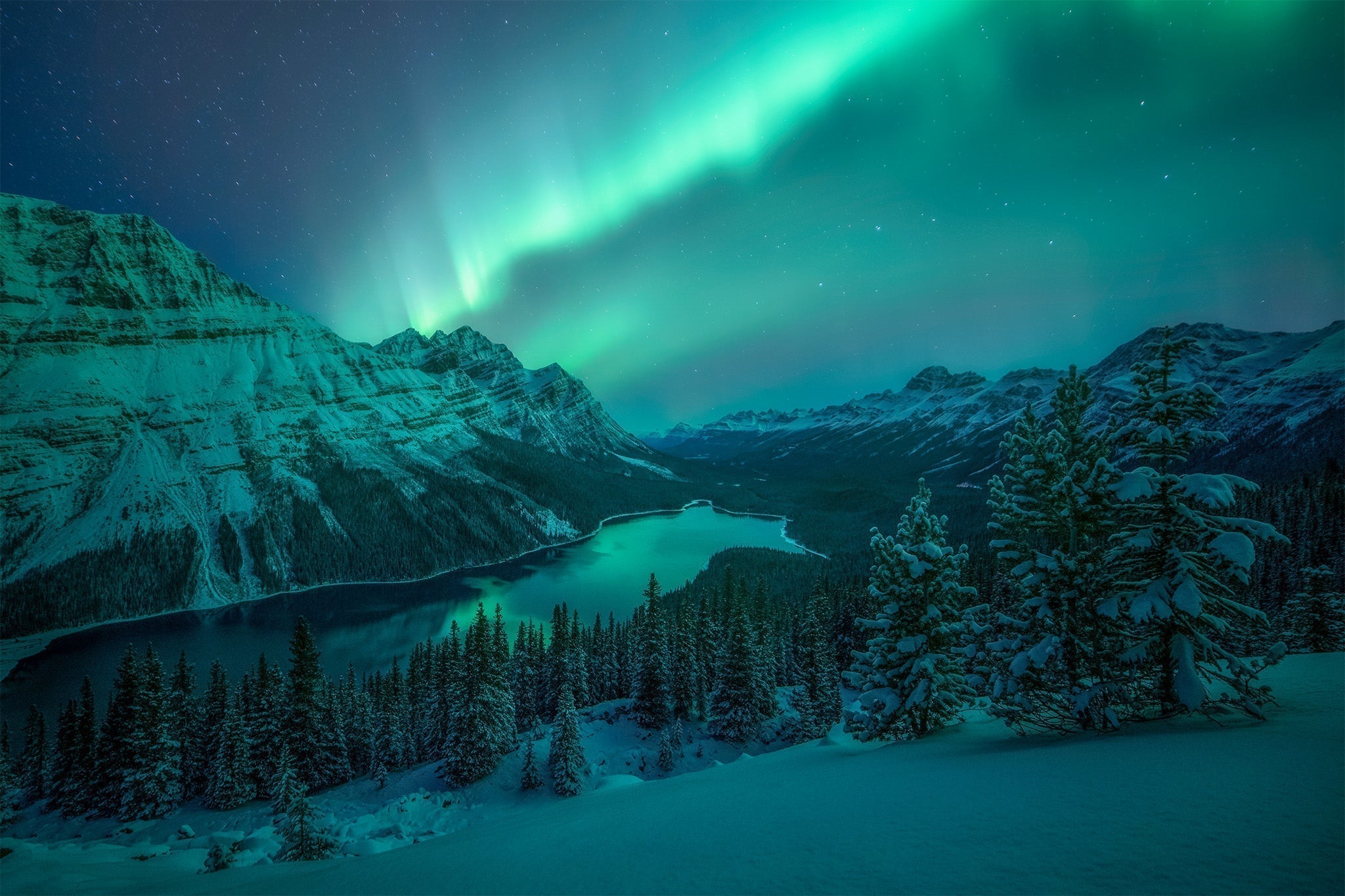 Peyto Lake, Alberta: A Photographer's Guide to the Icefields Parkway's Most Iconic View