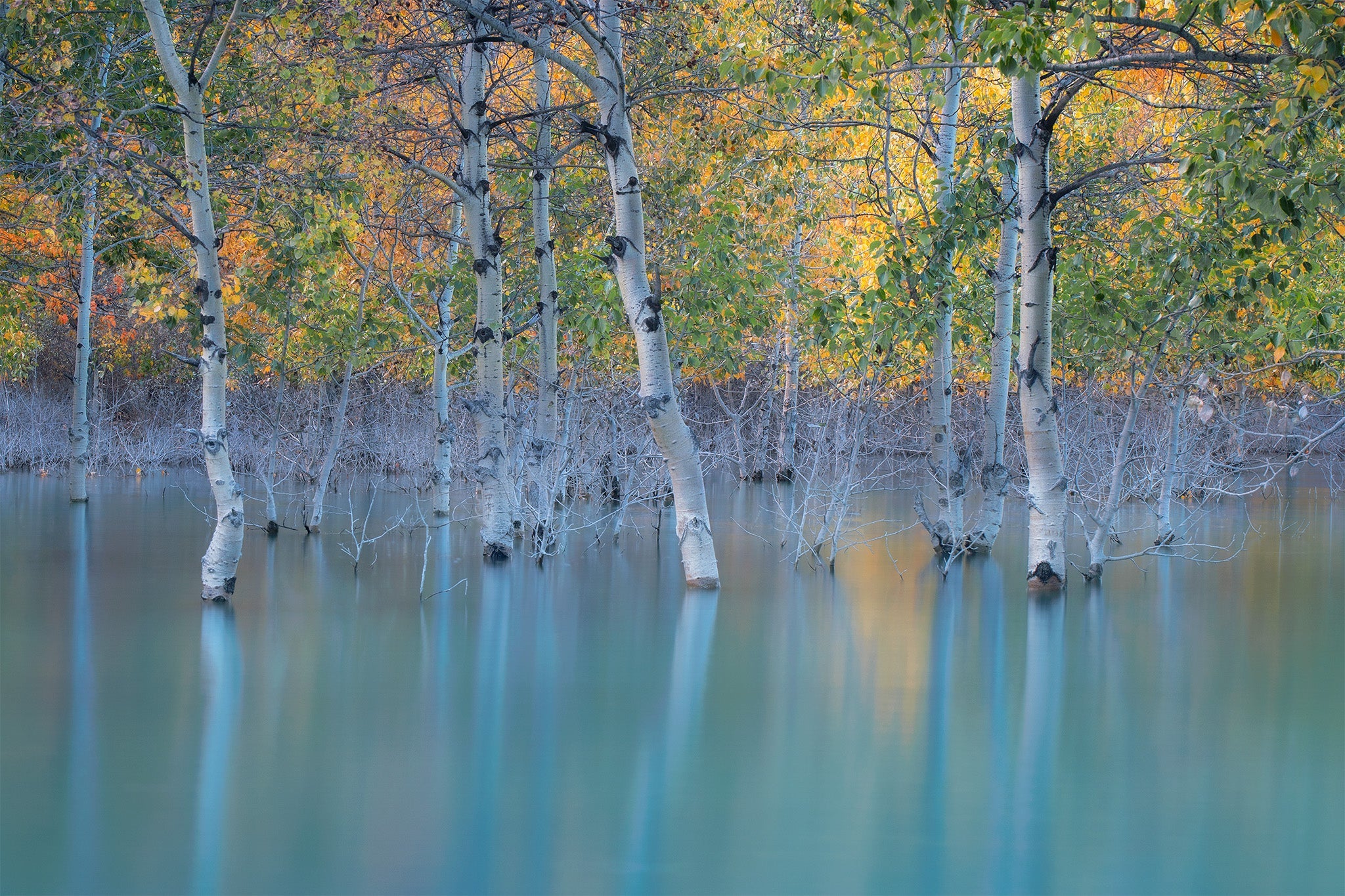Abraham Lake Photography Prints