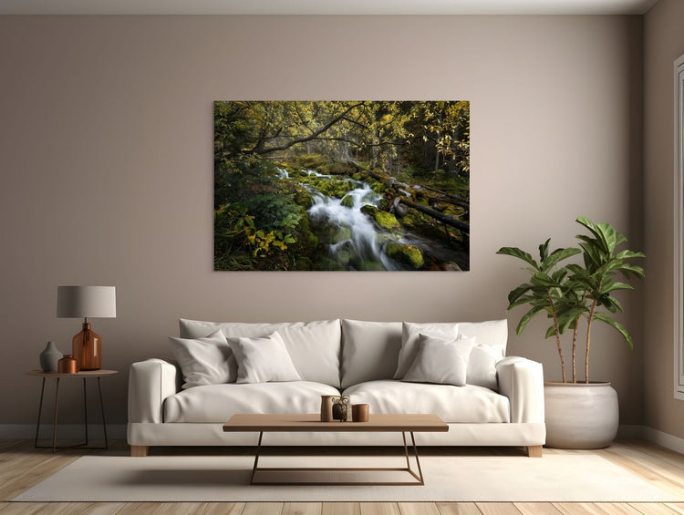 Acrylic Prints