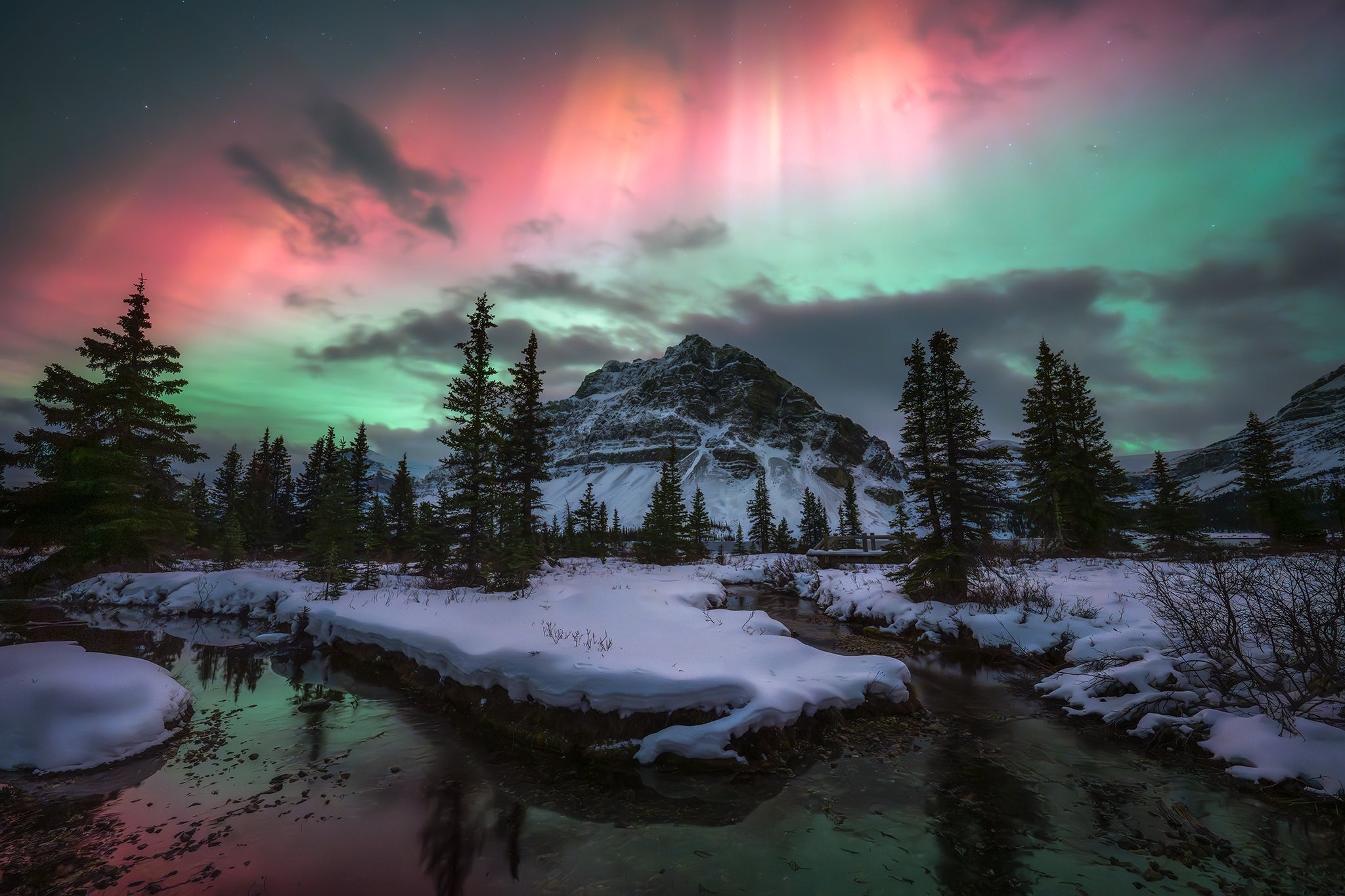 Aurora Over Bow Lake
