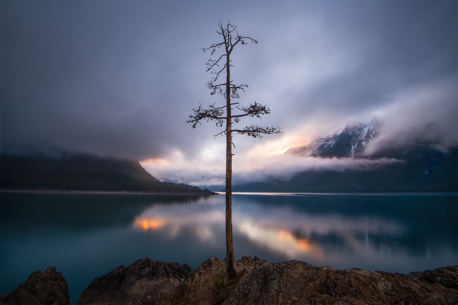 The Lone Tree - Floating Frame Canvas