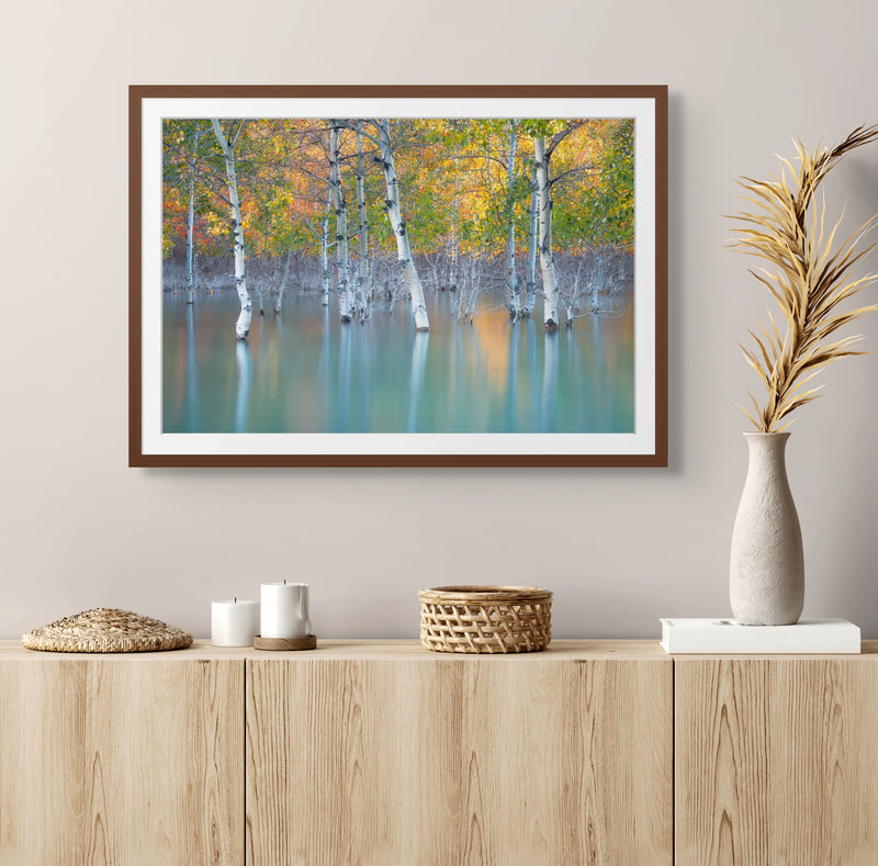 Sunken Color - Starter Print