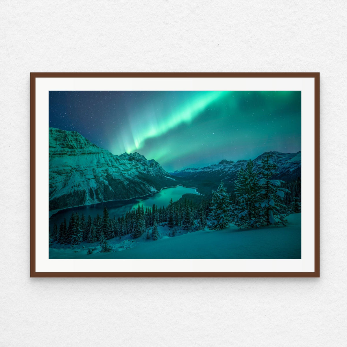 Aurora Over Peyto Lake