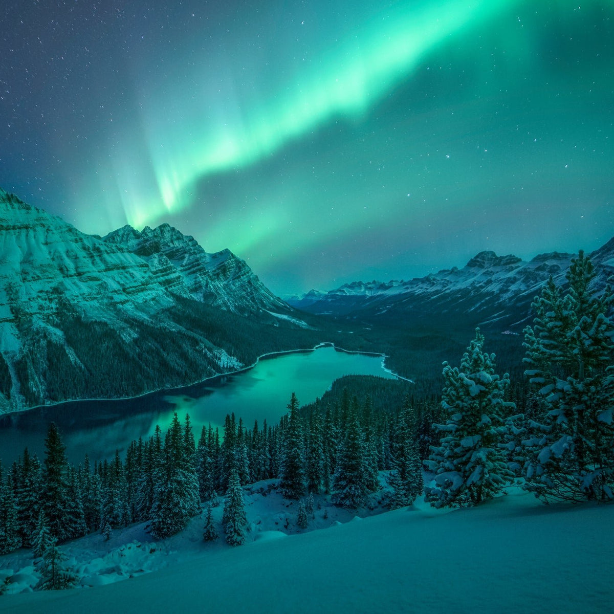 Canadian Rockies Icons Aurora 4 Pack - James Andrew Fine Art Landscapes