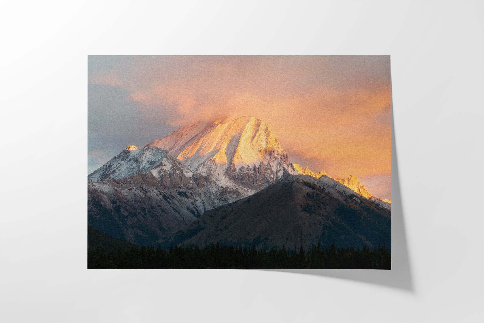 Crowned in Light Hahnemühle fine art paper detail — archival cotton rag print by James Andrew Fine Art