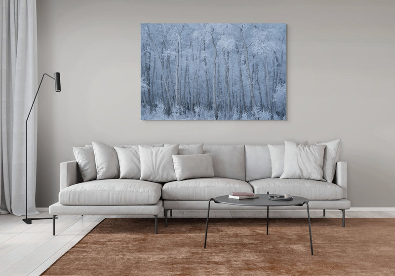 Deep Winter - Open Edition - James Andrew Fine Art Landscapes