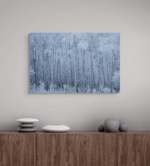 Deep Winter - Poster Print - James Andrew Fine Art Landscapes