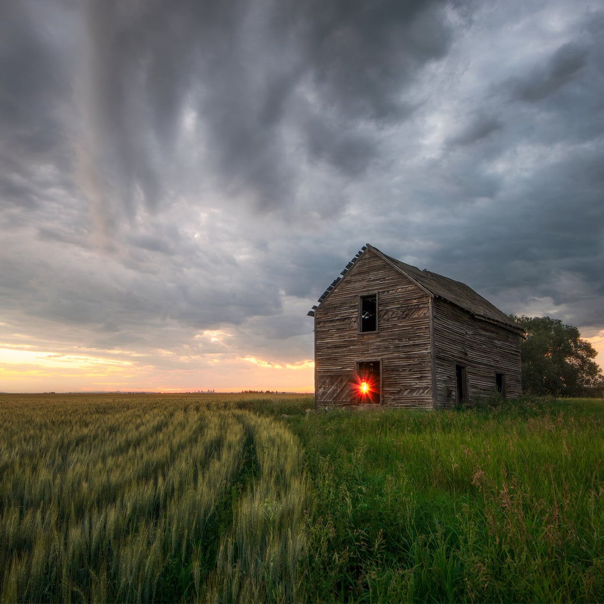 Endure - James Andrew Fine Art Landscapes