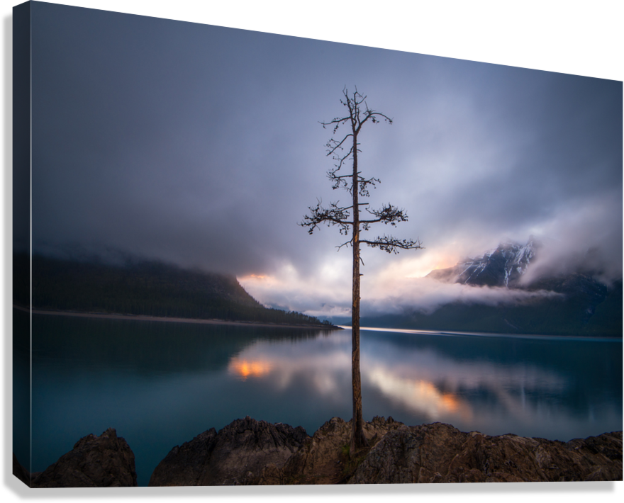 The Lone Tree - Floating Frame Canvas