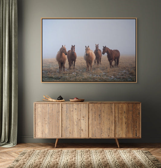 Mystic Herd - James Andrew Fine Art Landscapes