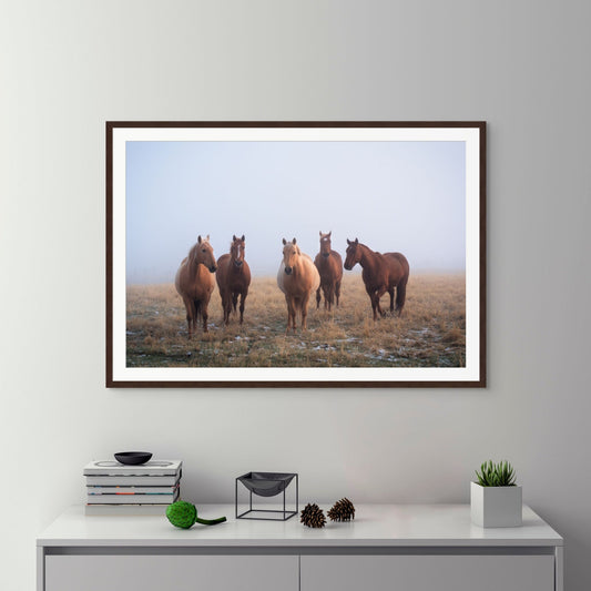 Mystic Herd - Open Edition - James Andrew Fine Art Landscapes