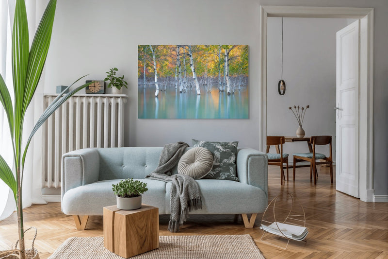 Sunken Color - James Andrew Fine Art Landscapes