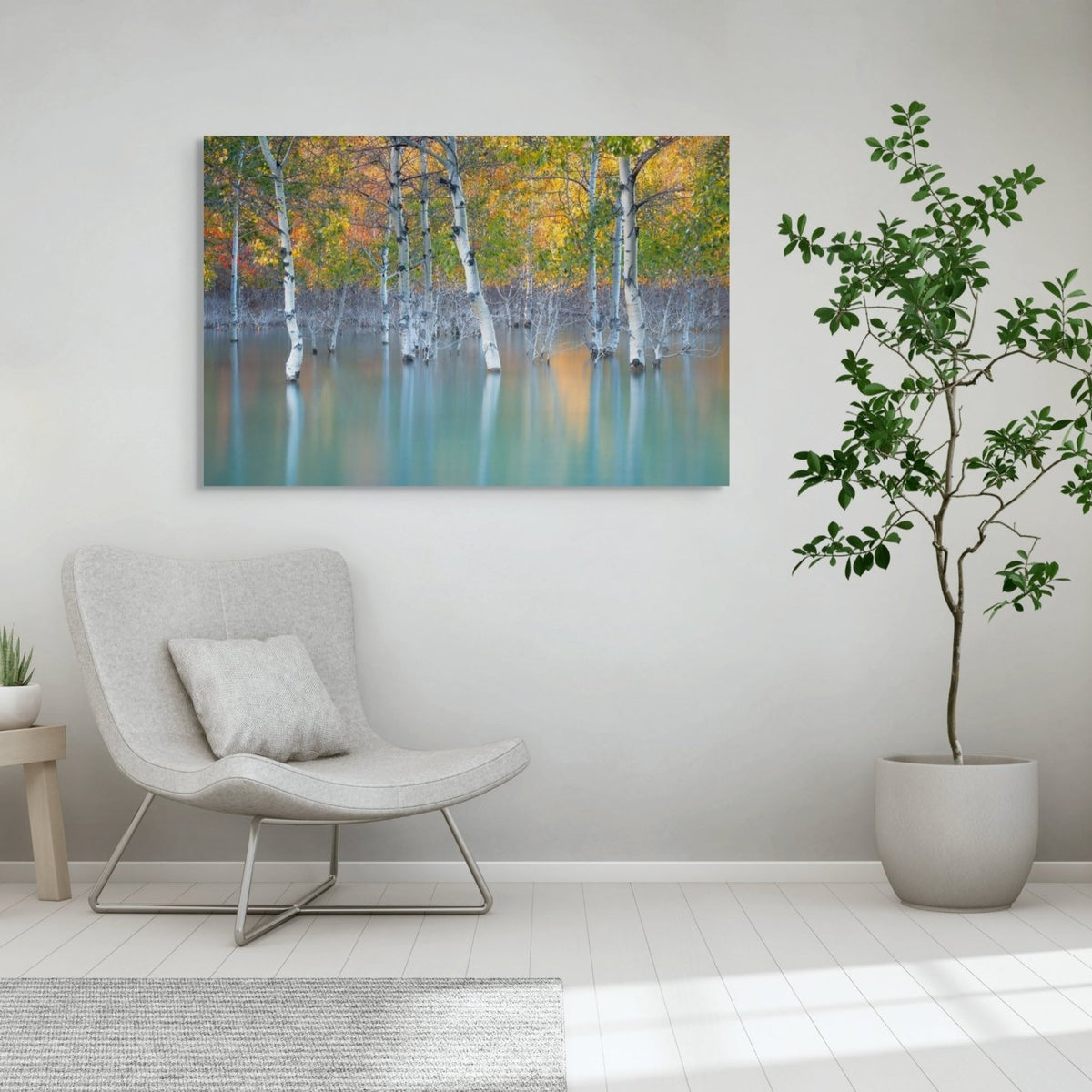 Sunken Color - James Andrew Fine Art Landscapes
