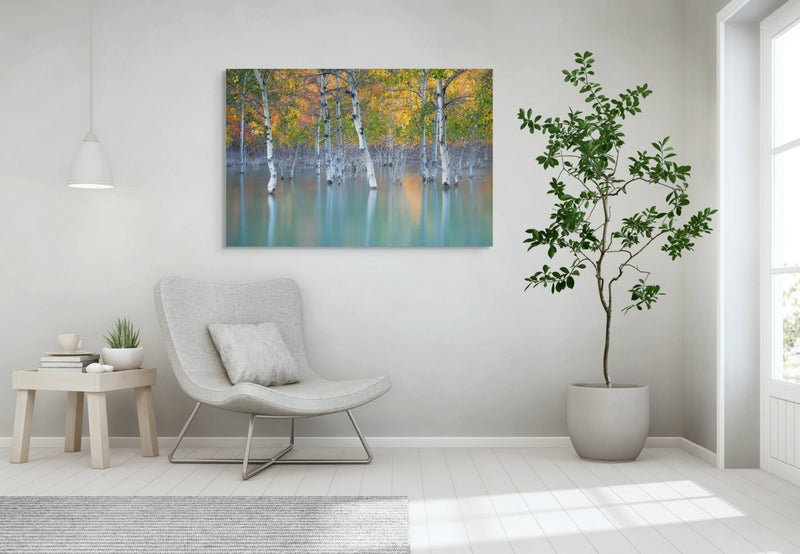 Sunken Color - James Andrew Fine Art Landscapes