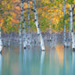 Sunken Color - Acrylic Print - James Andrew Fine Art Landscapes