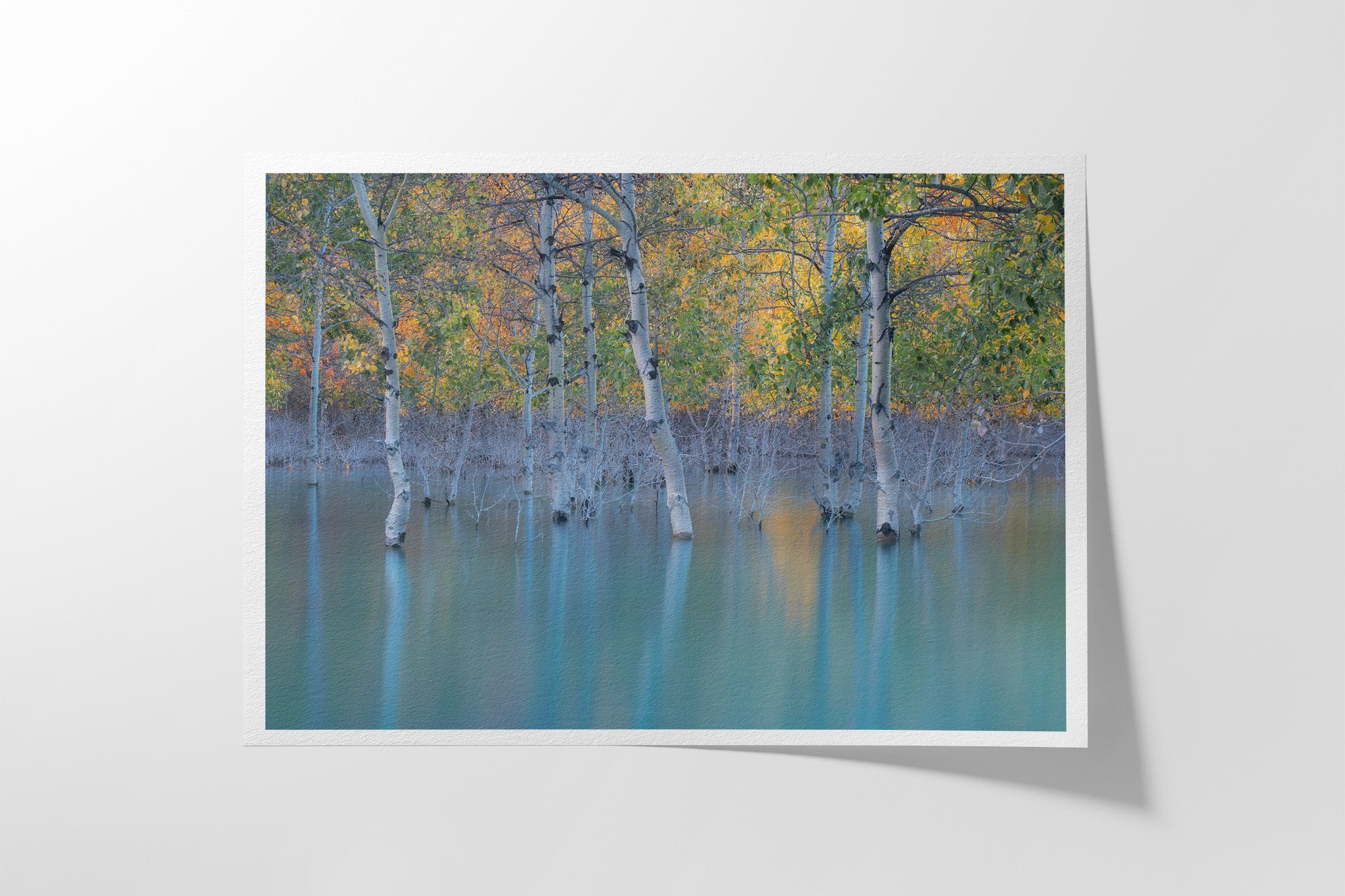Sunken Color Hahnemühle fine art paper print — signed limited edition Alberta landscape photography by James Andrew