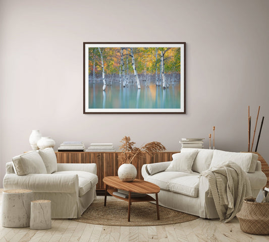 Sunken Color - Limited Edition Museum Quality Print - James Andrew Fine Art Landscapes