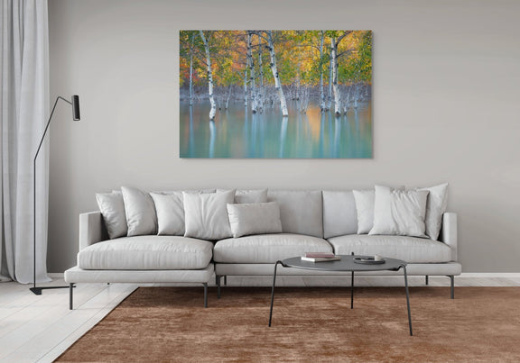 Sunken Color - Open Edition - James Andrew Fine Art Landscapes