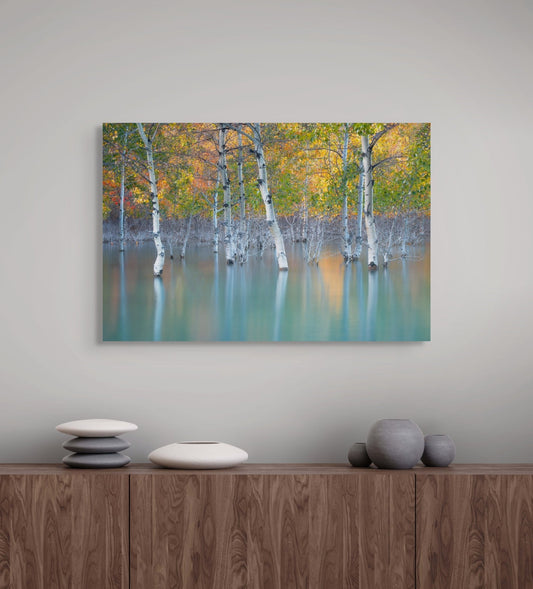 Sunken Color - Poster Print - James Andrew Fine Art Landscapes