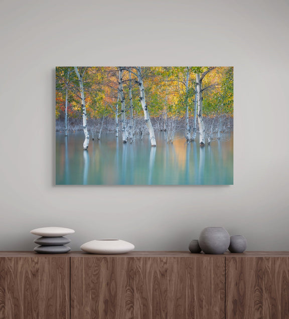 Sunken Color - Poster Print - James Andrew Fine Art Landscapes