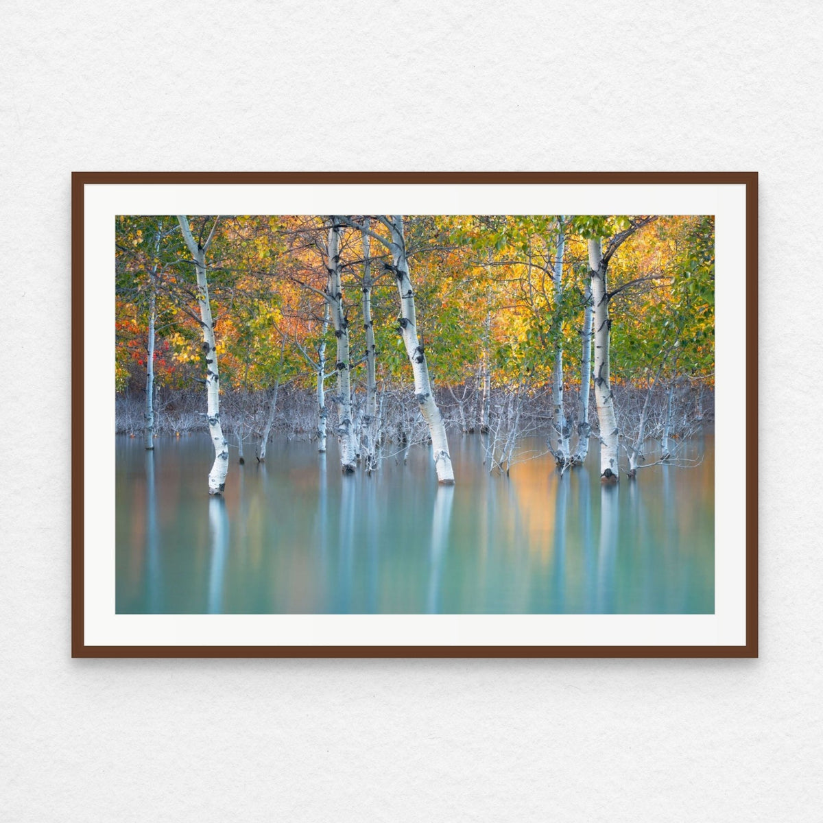 Sunken Color - Starter Print - James Andrew Fine Art Landscapes