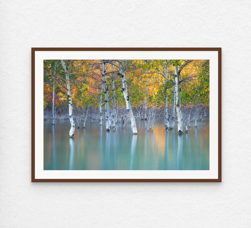 Sunken Color - Starter Print - James Andrew Fine Art Landscapes