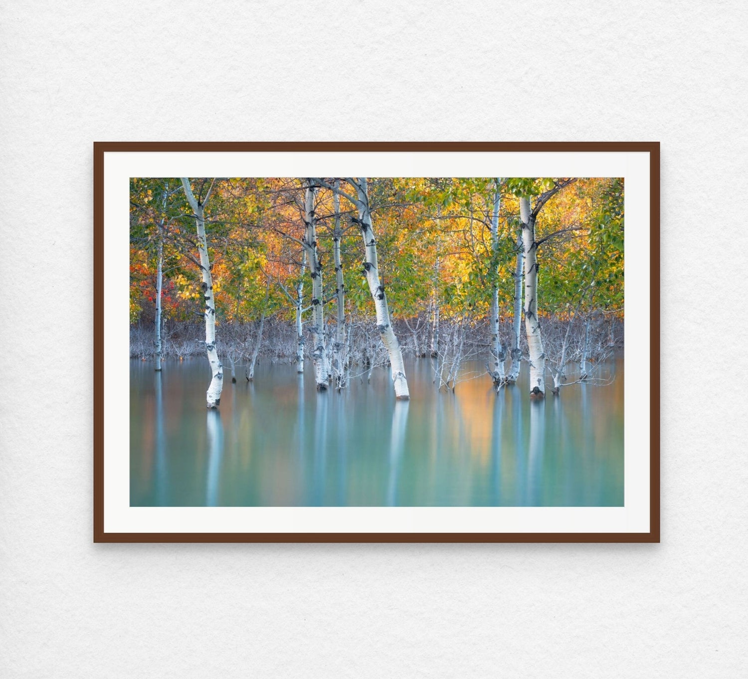 Sunken Color - Starter Print - James Andrew Fine Art Landscapes