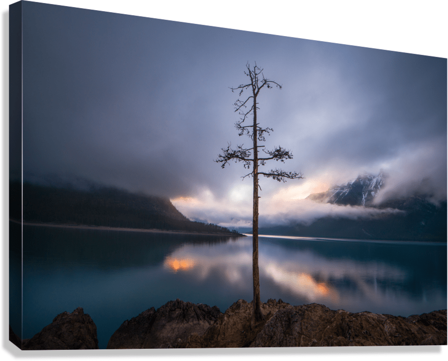 The Lone Tree - James Andrew Fine Art Landscapes