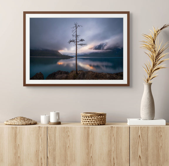 The Lone Tree - James Andrew Fine Art Landscapes