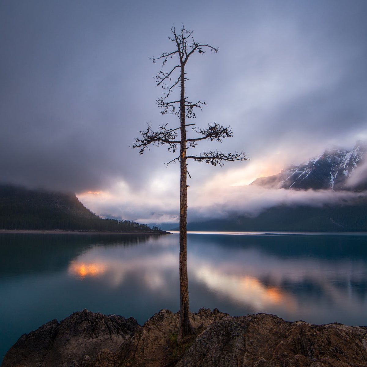 The Lone Tree - James Andrew Fine Art Landscapes