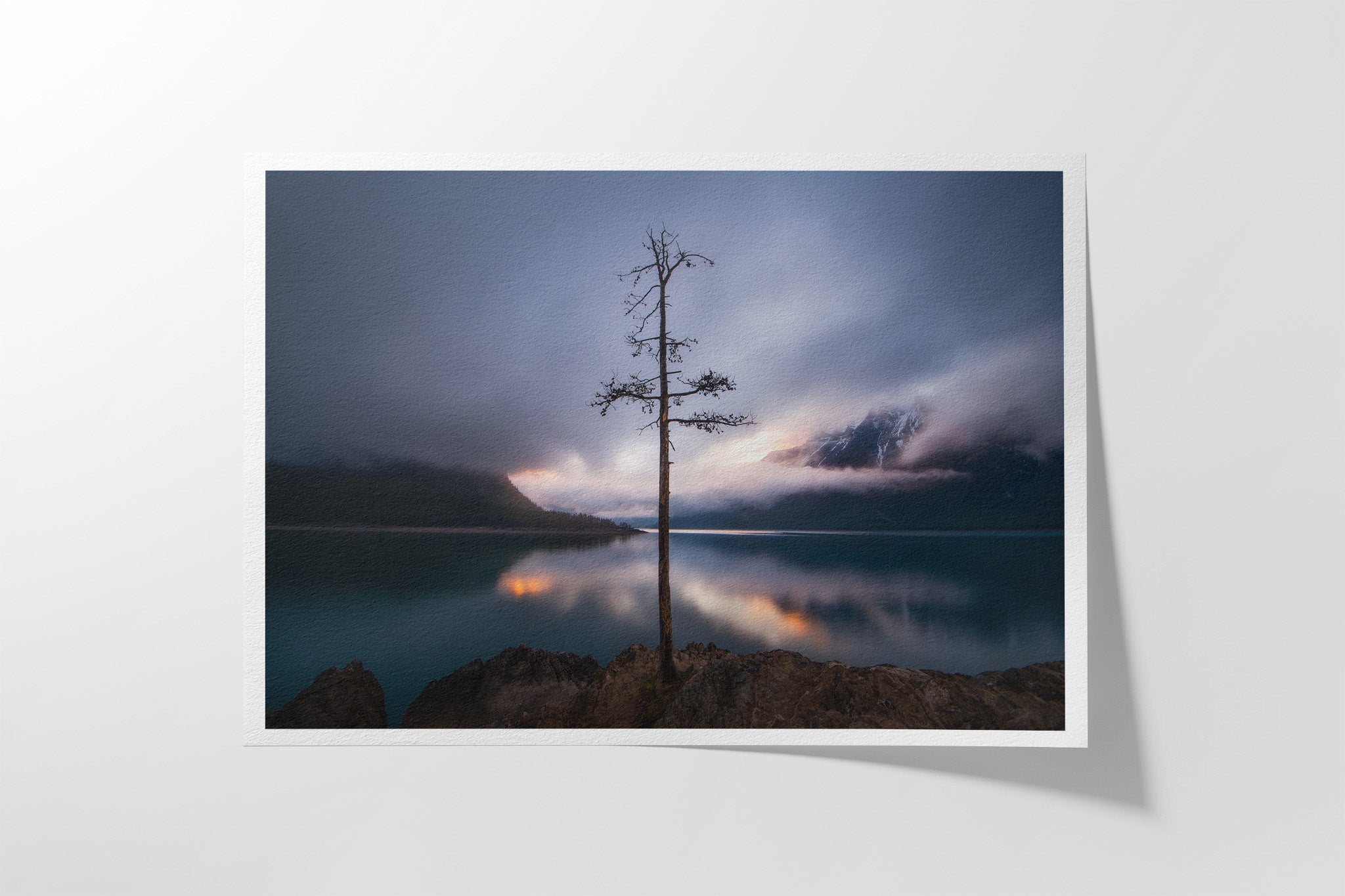The Lone Tree Hahnemühle fine art paper print — signed limited edition Canadian Rockies landscape photography by James Andrew