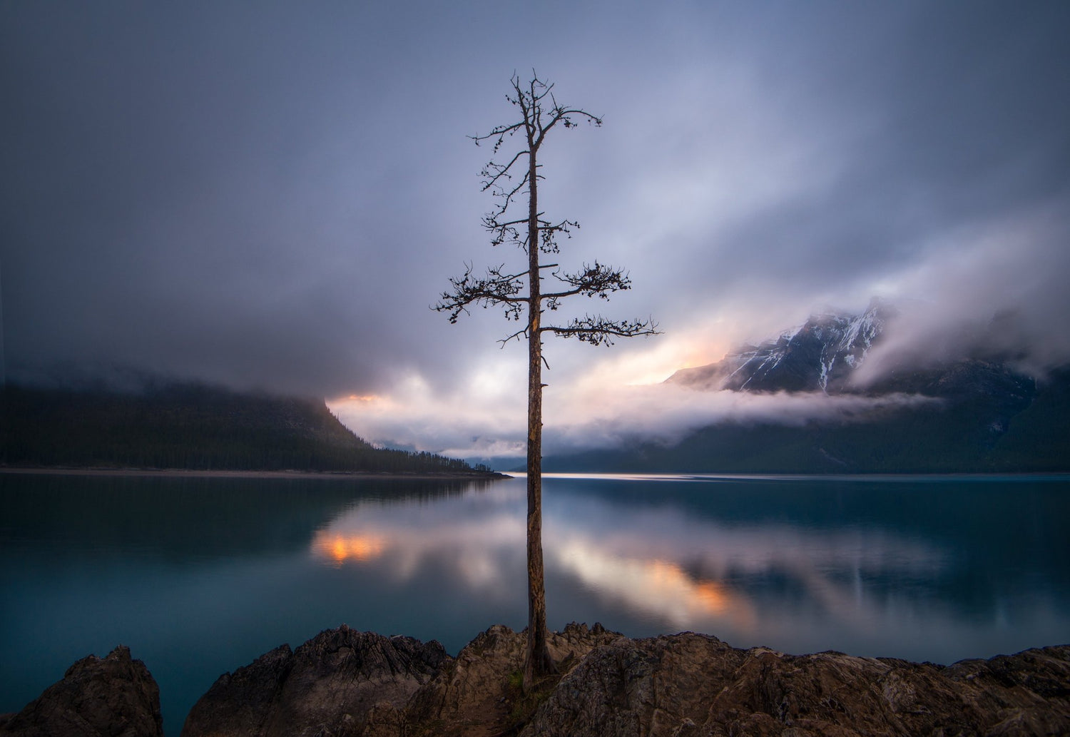 The Lone Tree - Open Edition - James Andrew Fine Art Landscapes