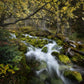 The Secret Stream - Acrylic Print - James Andrew Fine Art Landscapes