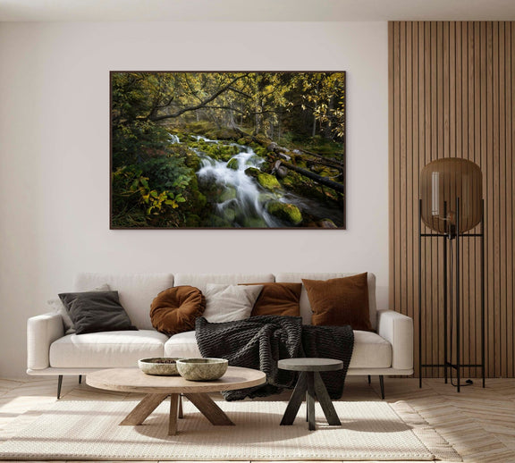 The Secret Stream - Floating Frame Canvas - James Andrew Fine Art Landscapes