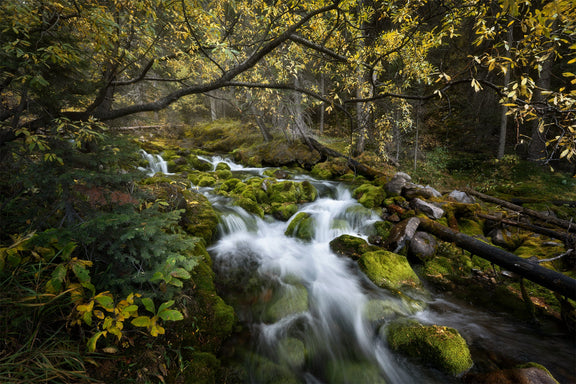 The Secret Stream - Floating Frame Canvas - James Andrew Fine Art Landscapes