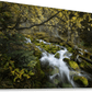 The Secret Stream - Floating Frame Canvas - James Andrew Fine Art Landscapes