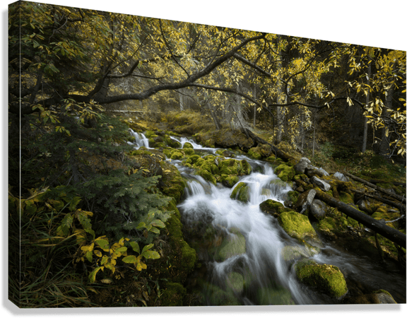 The Secret Stream - Floating Frame Canvas - James Andrew Fine Art Landscapes